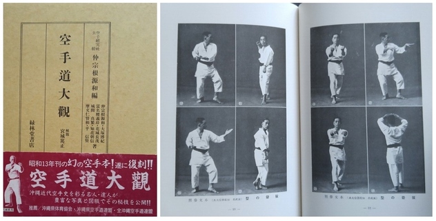 Traditional Karate Do Okinawa Goju Ryu Vol 2pdf